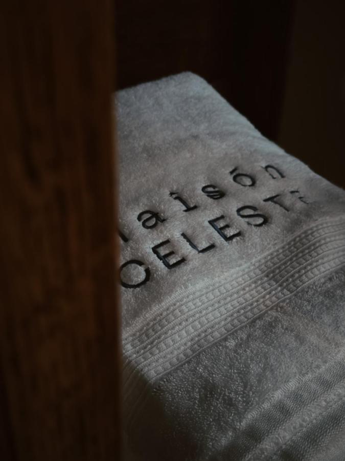 Maison Celeste Мехіко Екстер'єр фото