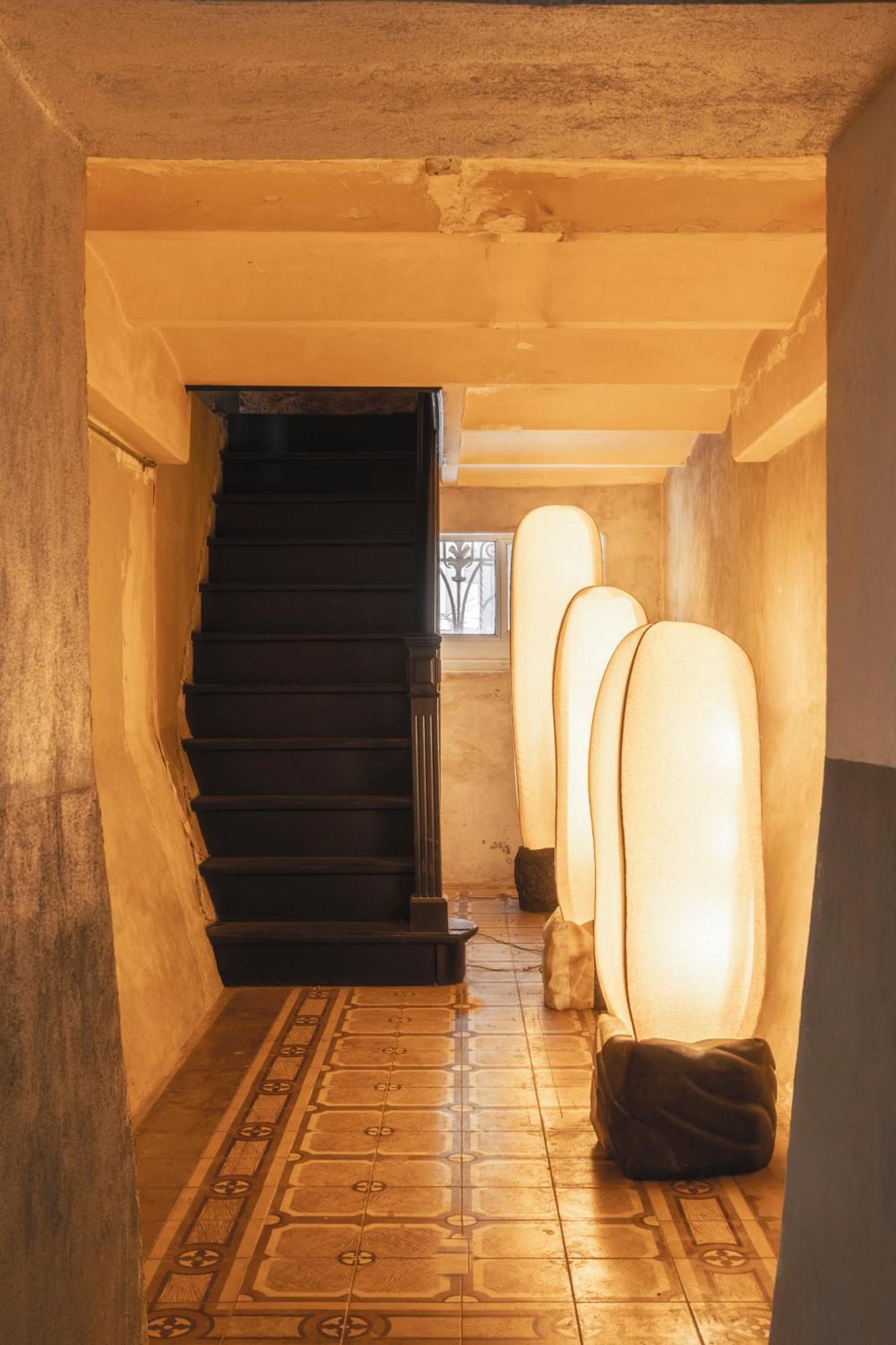 Maison Celeste Мехіко Екстер'єр фото
